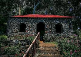 Christmas Festival Lights